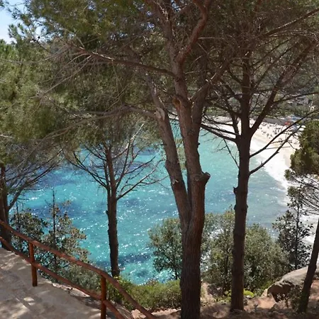 Ammiraglio Apartment Campese (Grosseto)