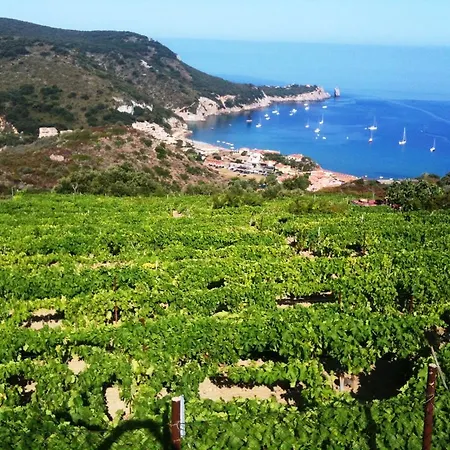 上将公寓式酒店 * 康培斯