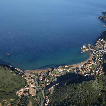 Ammiraglio * Campese (Grosseto)